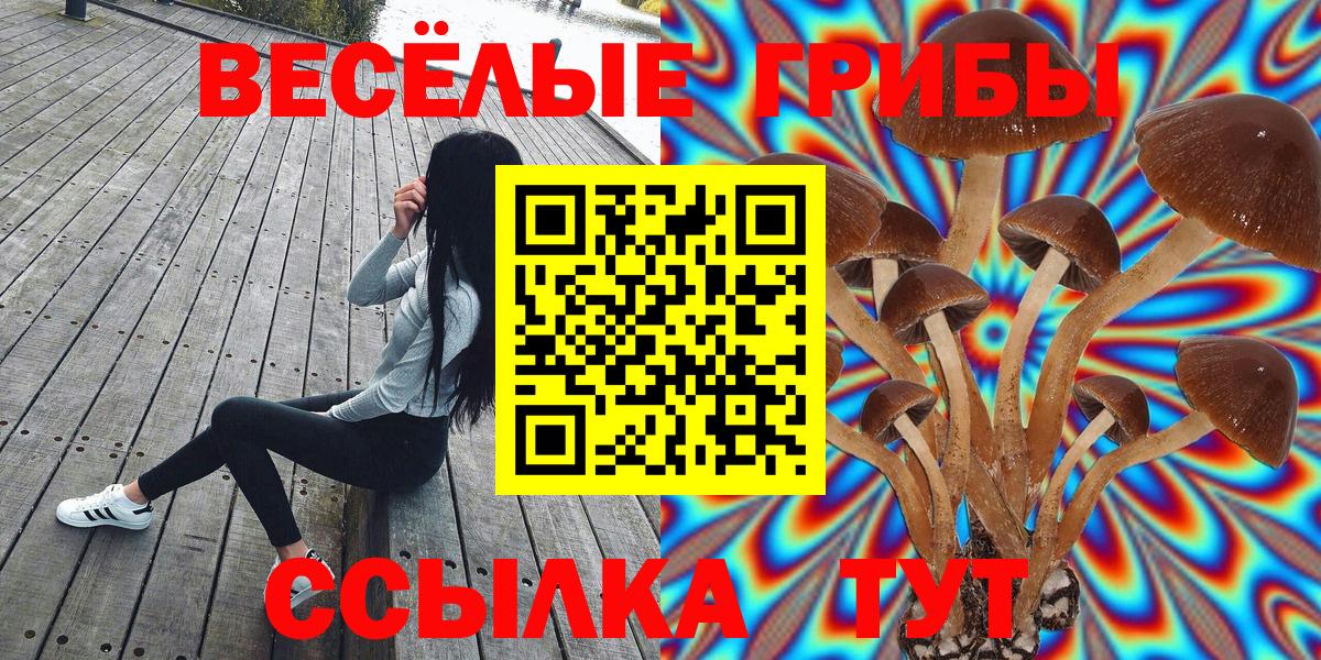 Галлюциногенные грибы Cubensis  Вход с VPN  Нарьян-Мар  Псилоцибиновые грибы мицелий 
