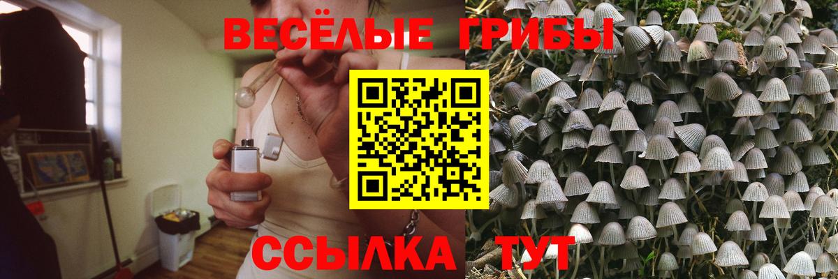 Галлюциногенные грибы мицелий Нарьян-Мар